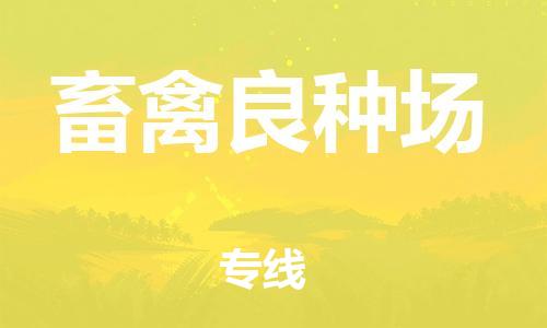 杨村镇到畜禽良种场物流专线|杨村镇到畜禽良种场危险品电动车托运优选公司