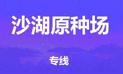东莞到沙湖原种场物流公司-东莞至沙湖原种场电动车摩托车托运专线-直达您手中，优质服务