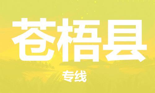 惠州到苍梧县电动车物流公司|惠州摩托车物流到苍梧县行李托运包装（全/境-直送）