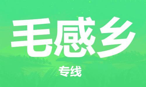惠州到毛感乡电动车物流公司|惠州摩托车物流到毛感乡行李托运包装（全/境-直送）