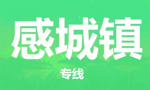 惠州到感城镇电动车物流公司|惠州摩托车物流到感城镇行李托运包装（全/境-直送）