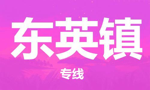 惠州到东英镇电动车物流公司|惠州摩托车物流到东英镇行李托运包装（全/境-直送）