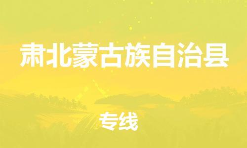 惠州到肃北蒙古族自治县电动车物流公司|惠州摩托车物流到肃北蒙古族自治县行李托运包装（全/境-直送）