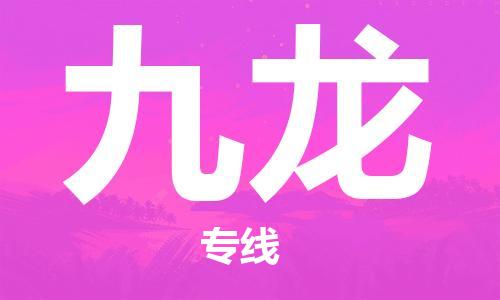 惠州到九龙电动车物流公司|惠州摩托车物流到九龙行李托运包装（全/境-直送）